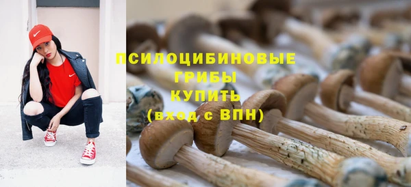 мяу мяу мука Надым