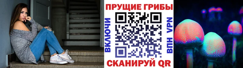 Псилоцибиновые грибы прущие грибы Александровск-Сахалинский